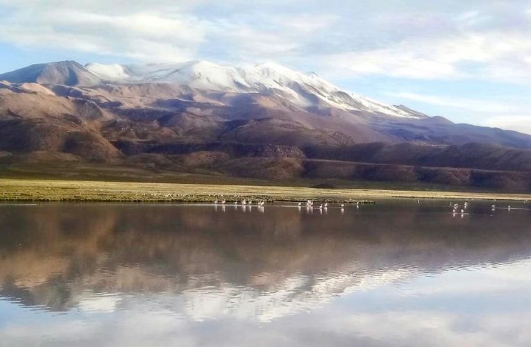 Parque Nacional Volcán Isluga: 54 años de  protegiendo el ecosistema altoandino
