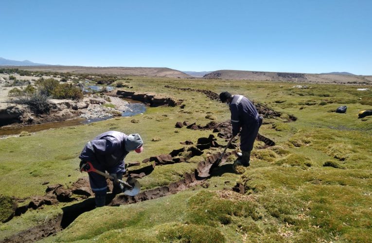Chile muestra avance en acciones para frenar la desertificación