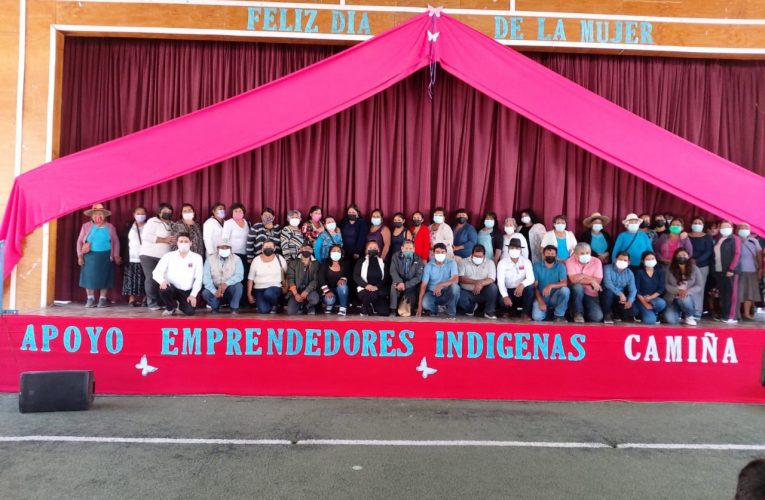 Emprendedores indígenas reciben subsidios mediante el convenio CONADI y la Municipalidad de Camiña.